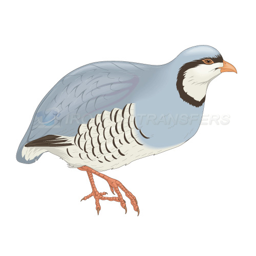 Birds Iron-on Stickers (Heat Transfers)NO.2174